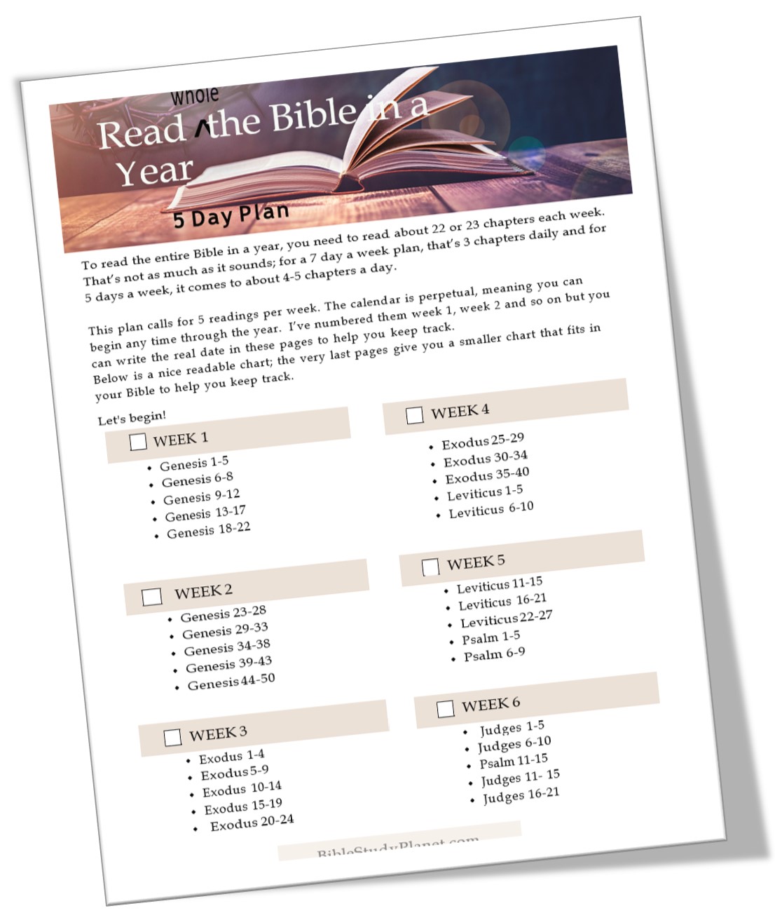 Read the Bible in a Year: 5 Day Plan