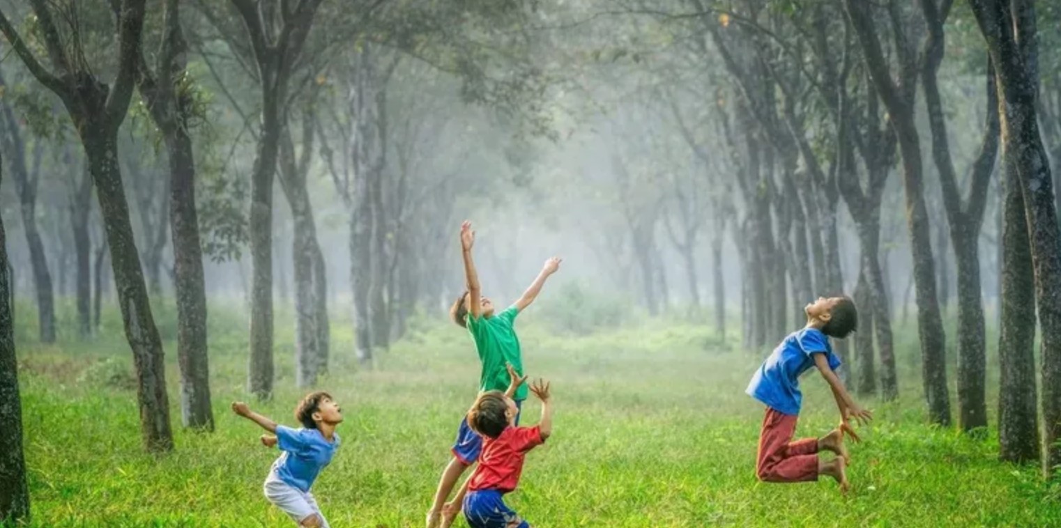 Children playing in a sunlit forest clearing